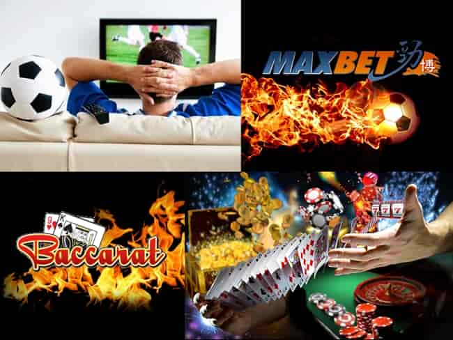 vip-maxbet