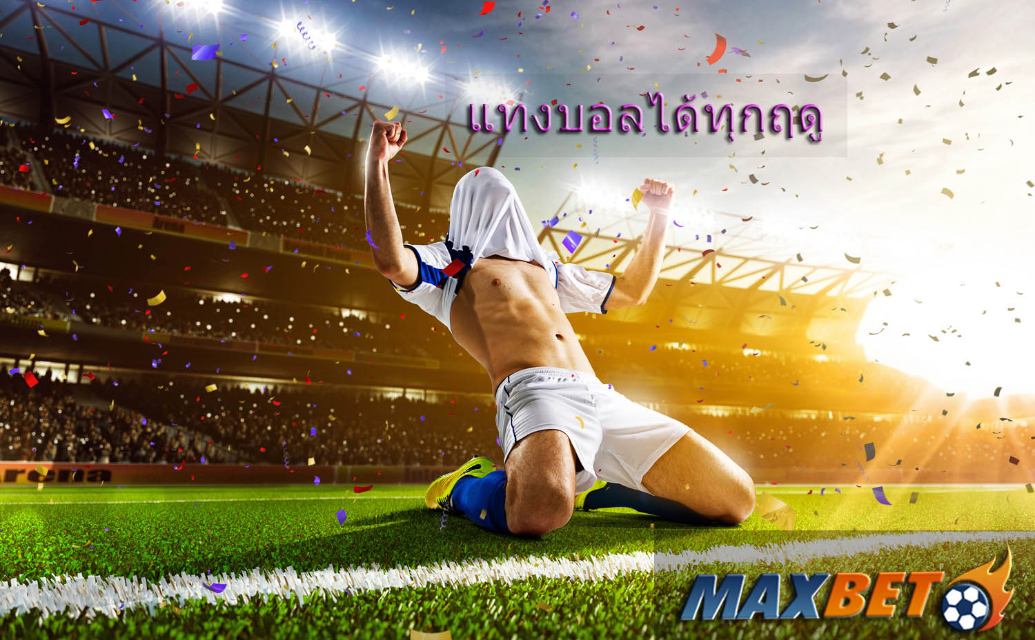 maxbet-vip-felicity