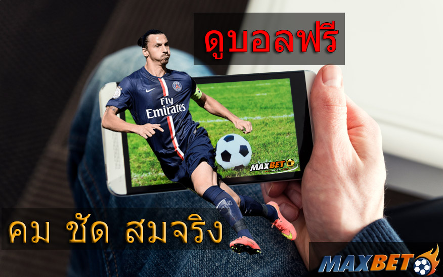 vipmaxbet-club-sbo-ibc