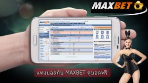 maxbat-vip-club-ibc-1