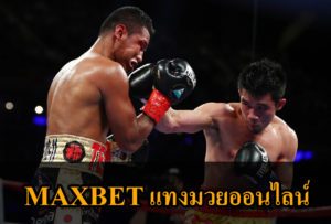 The-best-boxers-vipmaxbet-1