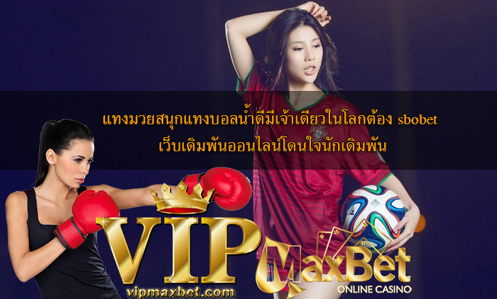 vipmaxbet-Fun Boxing Betting